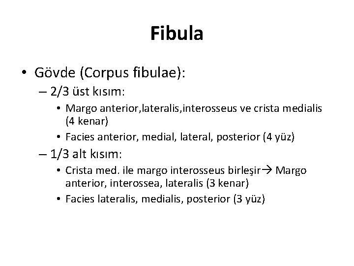 Fibula • Gövde (Corpus fibulae): – 2/3 üst kısım: • Margo anterior, lateralis, interosseus