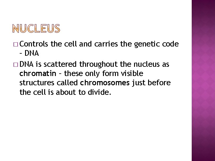 � Controls the cell and carries the genetic code – DNA � DNA is