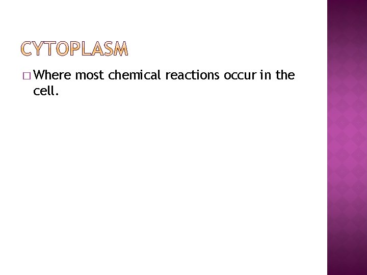 � Where cell. most chemical reactions occur in the 