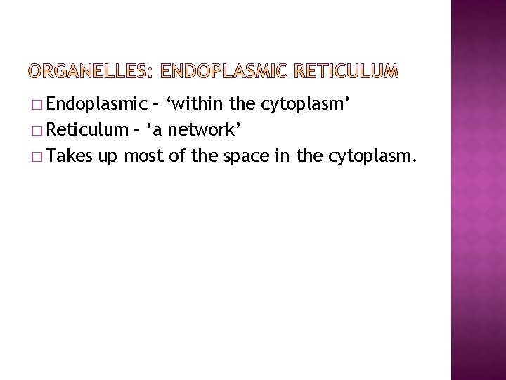 � Endoplasmic – ‘within the cytoplasm’ � Reticulum – ‘a network’ � Takes up