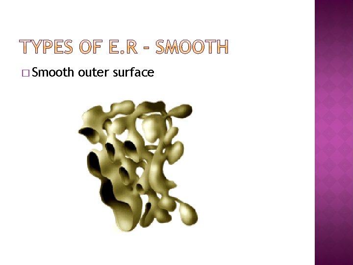 � Smooth outer surface 