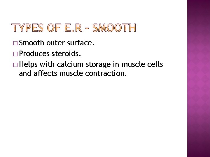 � Smooth outer surface. � Produces steroids. � Helps with calcium storage in muscle