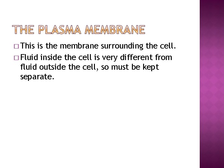 � This is the membrane surrounding the cell. � Fluid inside the cell is