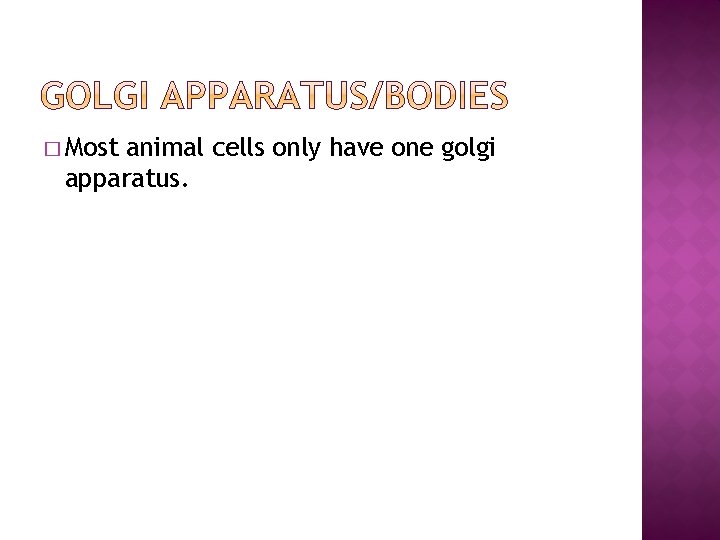 � Most animal cells only have one golgi apparatus. 
