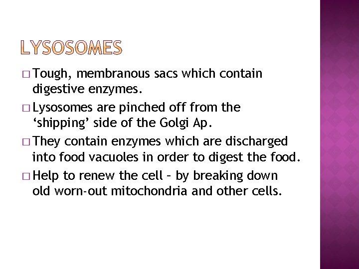 � Tough, membranous sacs which contain digestive enzymes. � Lysosomes are pinched off from