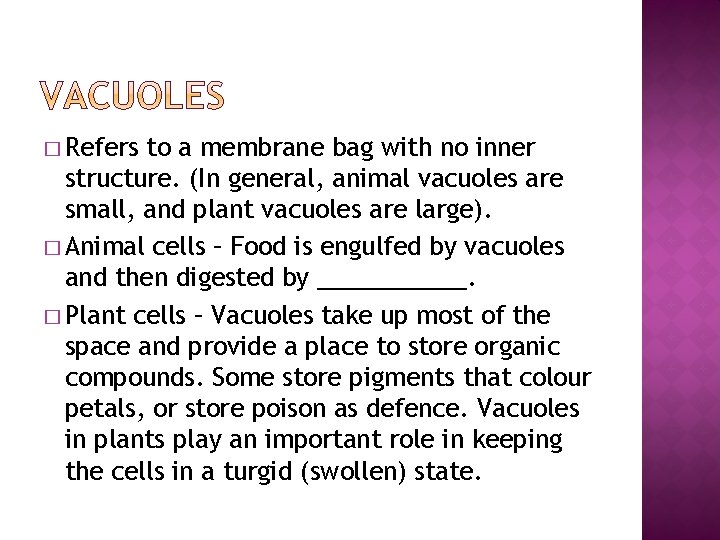 � Refers to a membrane bag with no inner structure. (In general, animal vacuoles
