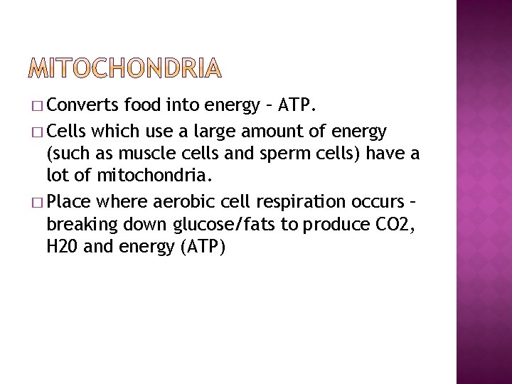 � Converts food into energy – ATP. � Cells which use a large amount