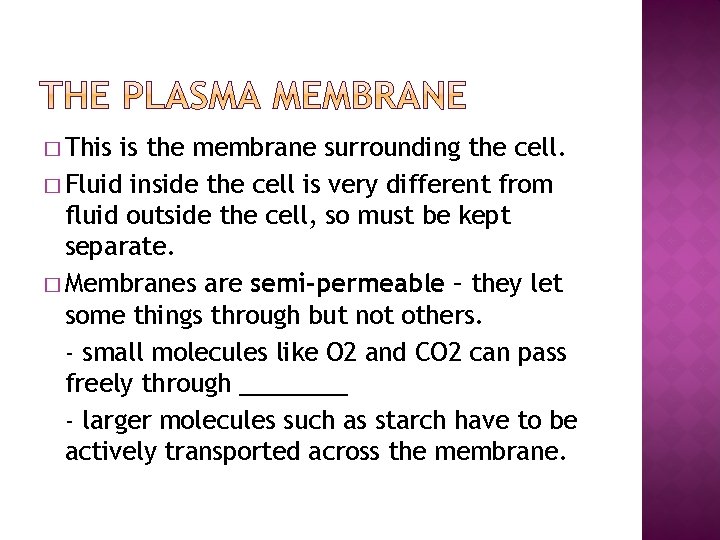 � This is the membrane surrounding the cell. � Fluid inside the cell is
