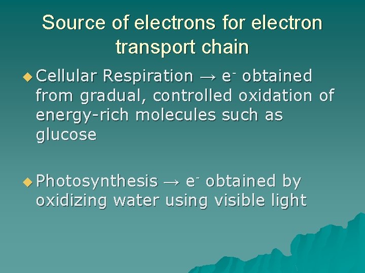 Source of electrons for electron transport chain u Cellular Respiration → e- obtained from