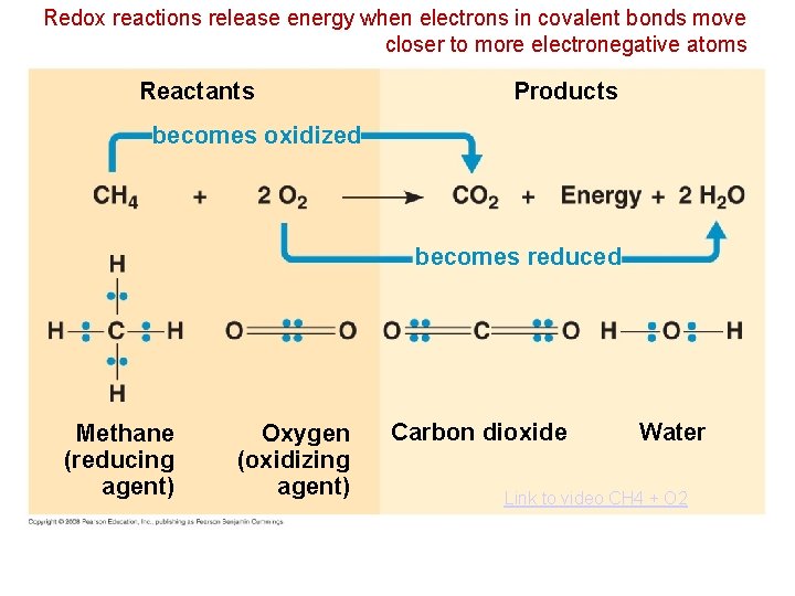 Redox reactions release energy when electrons in covalent bonds move closer to more electronegative