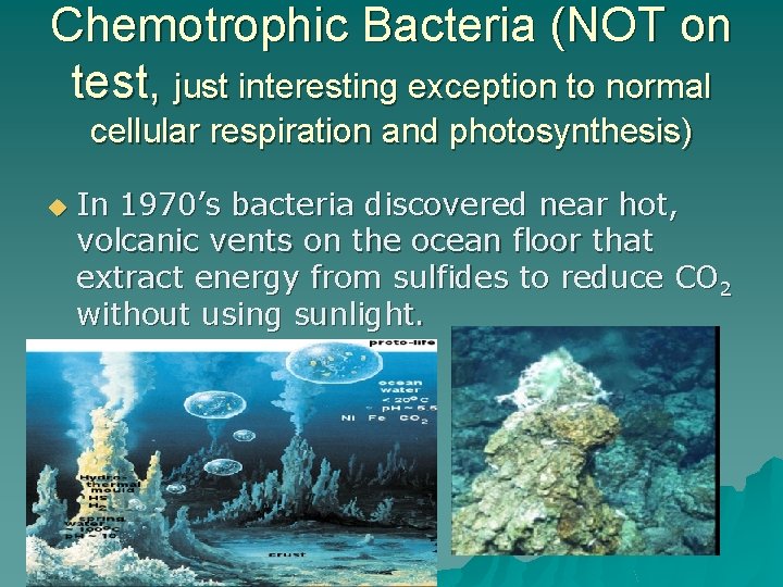 Chemotrophic Bacteria (NOT on test, just interesting exception to normal cellular respiration and photosynthesis)