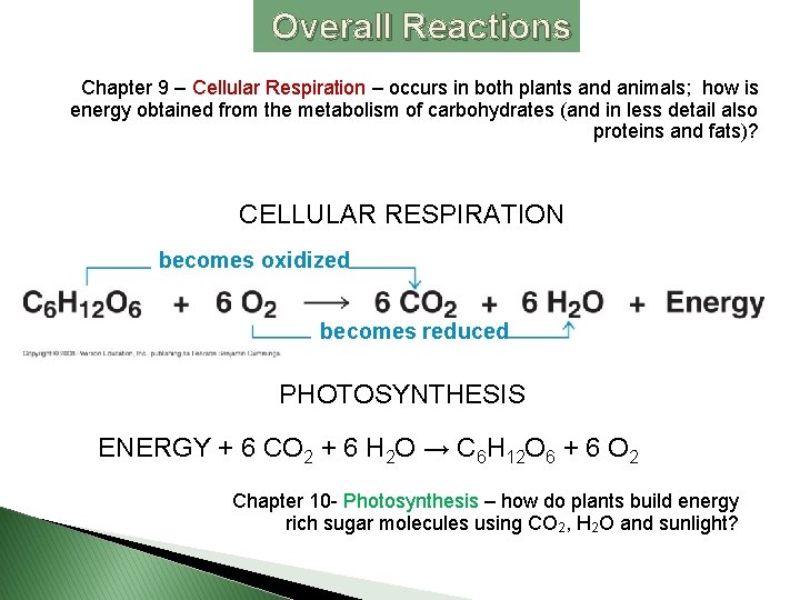 Overall Reactions Chapter 9 – Cellular Respiration – occurs in both plants and animals;