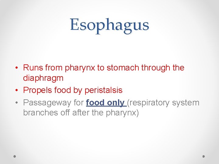 Esophagus • Runs from pharynx to stomach through the diaphragm • Propels food by