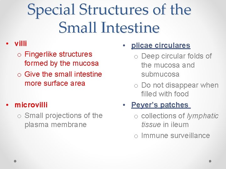 Special Structures of the Small Intestine • villi o Fingerlike structures formed by the