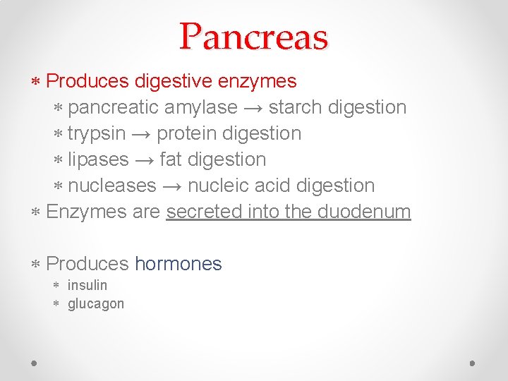 Pancreas Produces digestive enzymes pancreatic amylase → starch digestion trypsin → protein digestion lipases