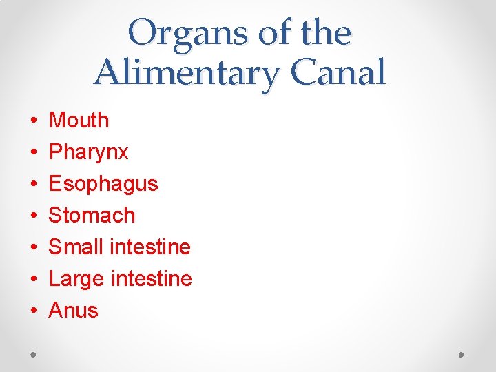 Organs of the Alimentary Canal • • Mouth Pharynx Esophagus Stomach Small intestine Large