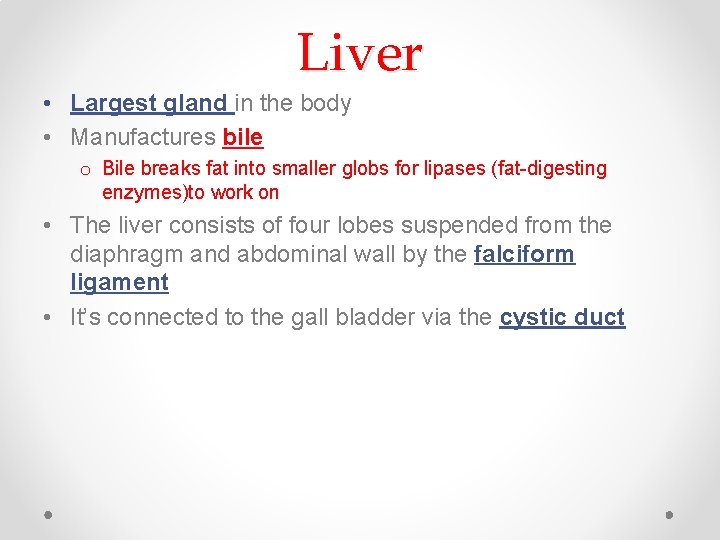 Liver • Largest gland in the body • Manufactures bile o Bile breaks fat