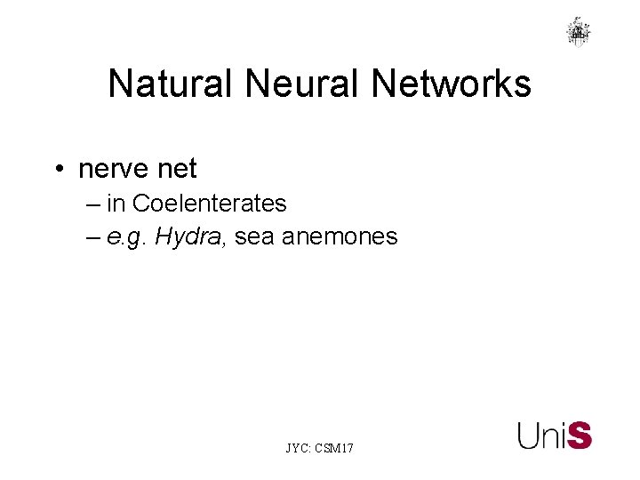 Natural Networks • nerve net – in Coelenterates – e. g. Hydra, sea anemones