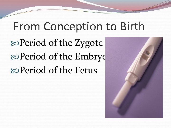 From Conception to Birth Period of the Zygote Period of the Embryo Period of