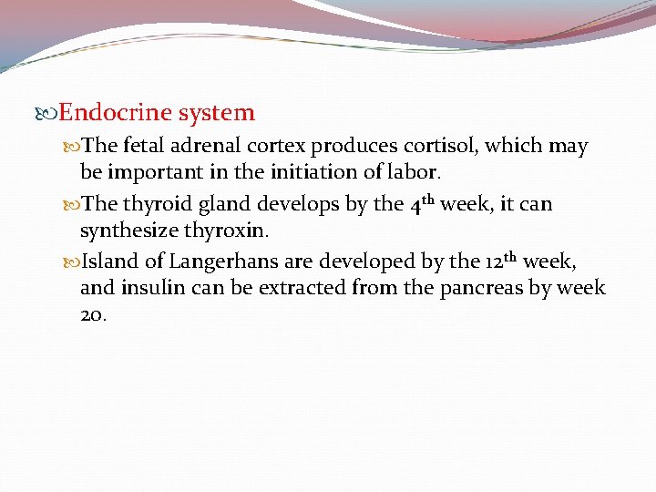  Endocrine system The fetal adrenal cortex produces cortisol, which may be important in