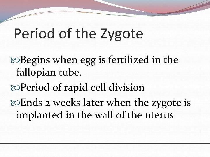 Period of the Zygote Begins when egg is fertilized in the fallopian tube. Period