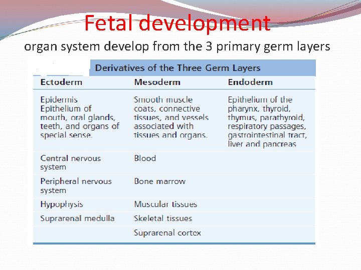 Fetal development organ system develop from the 3 primary germ layers 