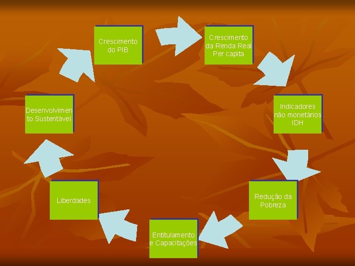 Crescimento da Renda Real Per capita Crescimento do PIB Indicadores não monetários IDH Desenvolvimen