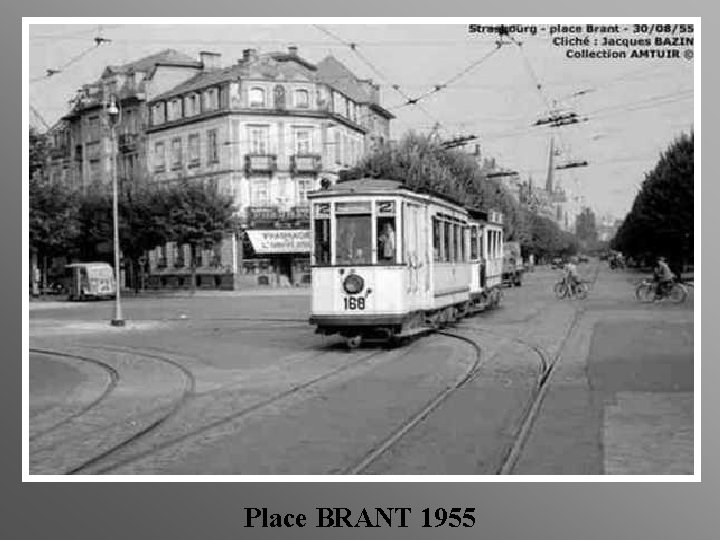 Place BRANT 1955 