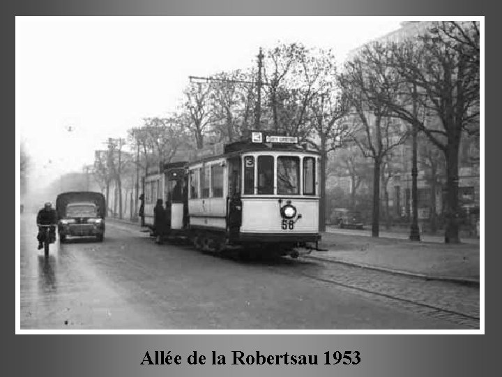 Allée de la Robertsau 1953 