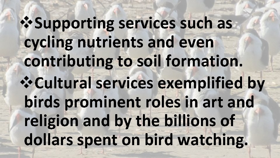 v. Supporting services such as cycling nutrients and even contributing to soil formation. v.