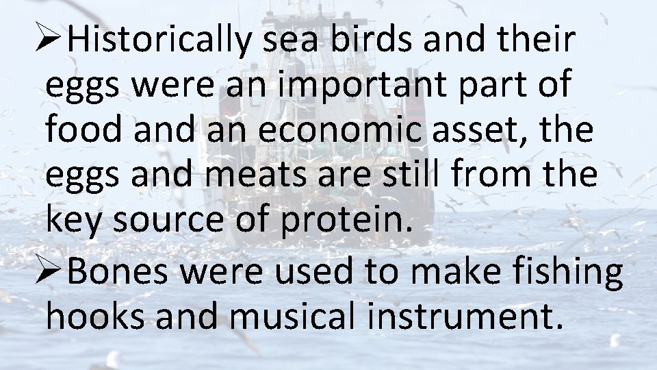 ØHistorically sea birds and their eggs were an important part of food an economic