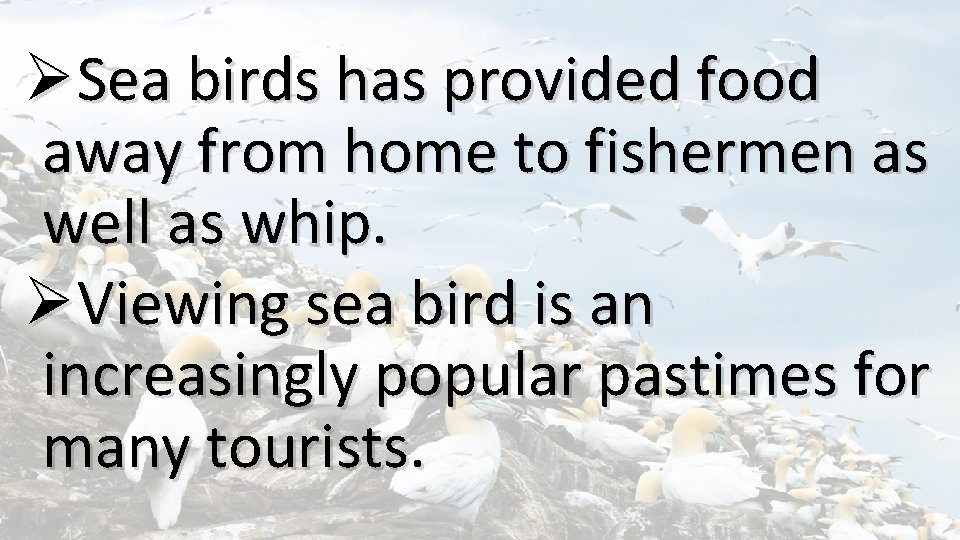 ØSea birds has provided food away from home to fishermen as well as whip.