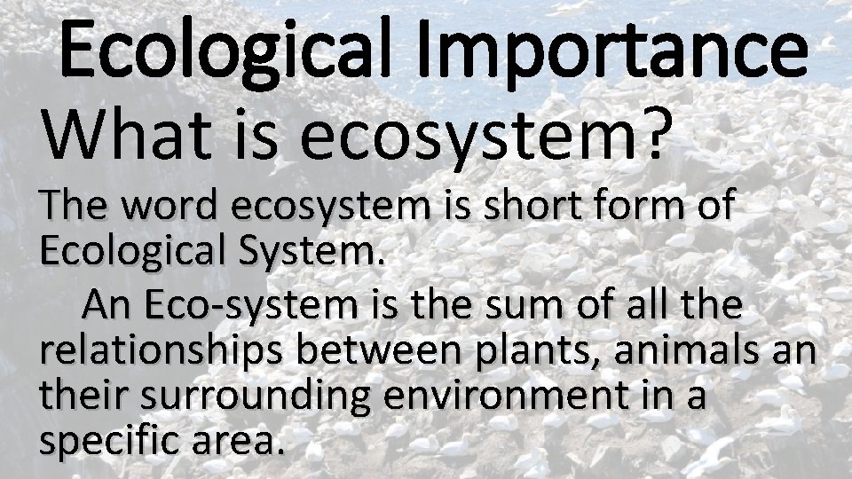 Ecological Importance What is ecosystem? The word ecosystem is short form of Ecological System.