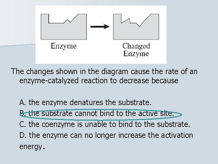 The changes shown in the diagram cause the rate of an enzyme-catalyzed reaction to