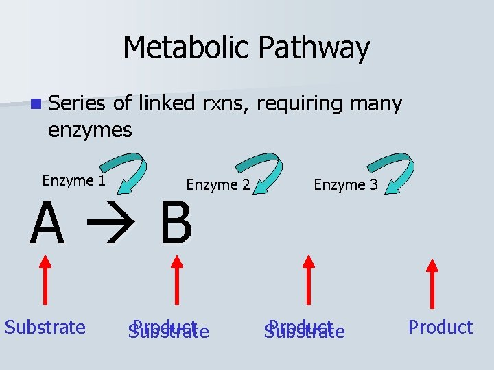 Metabolic Pathway n Series of linked rxns, requiring many enzymes Enzyme 1 Enzyme 2