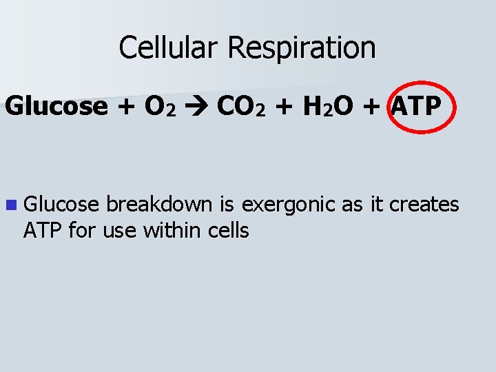 Cellular Respiration Glucose + O 2 CO 2 + H 2 O + ATP