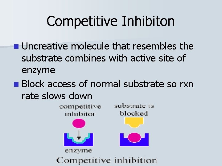 Competitive Inhibiton n Uncreative molecule that resembles the substrate combines with active site of