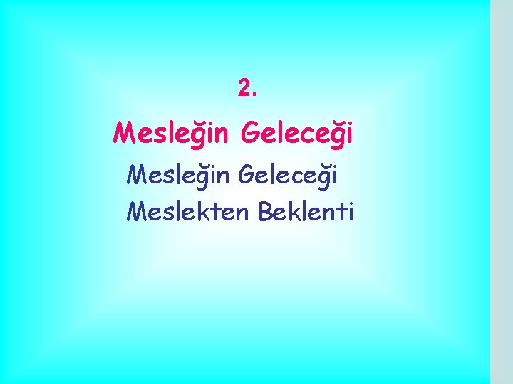 2. Mesleğin Geleceği Meslekten Beklenti 