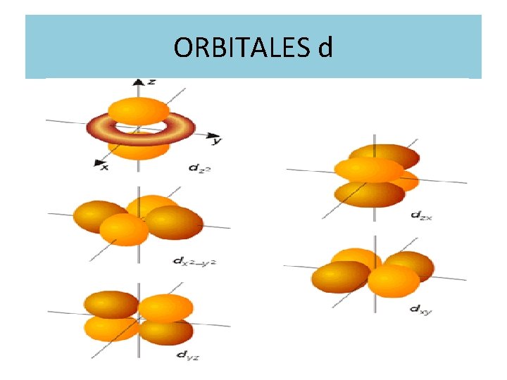 ORBITALES d 