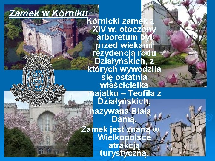 Zamek w Kórniku Kórnicki zamek z XIV w. otoczony arboretum był przed wiekami rezydencją