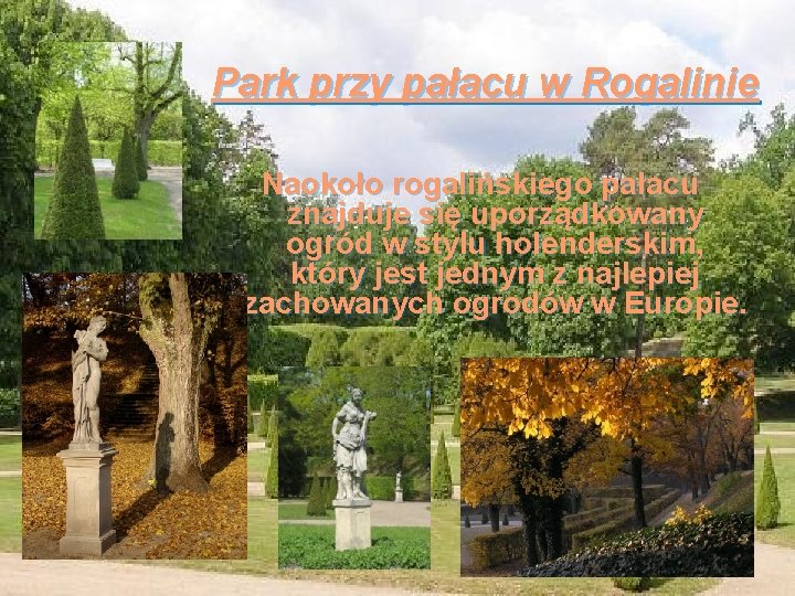 Park przy pałacu w Rogalinie Naokoło rogalińskiego pałacu znajduje się uporządkowany ogród w stylu