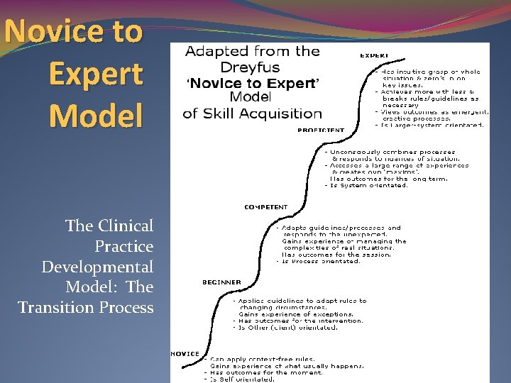 Novice to Expert Model The Clinical Practice Developmental Model: The Transition Process 