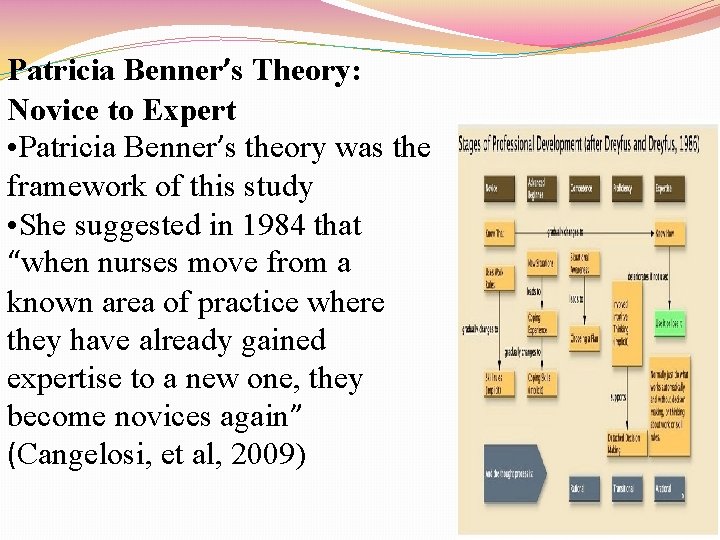 Patricia Benner’s Theory: Novice to Expert • Patricia Benner’s theory was the framework of