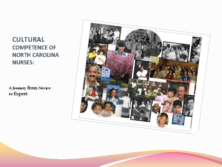 CULTURAL COMPETENCE OF NORTH CAROLINA NURSES: A Journey from Novice to Expert 