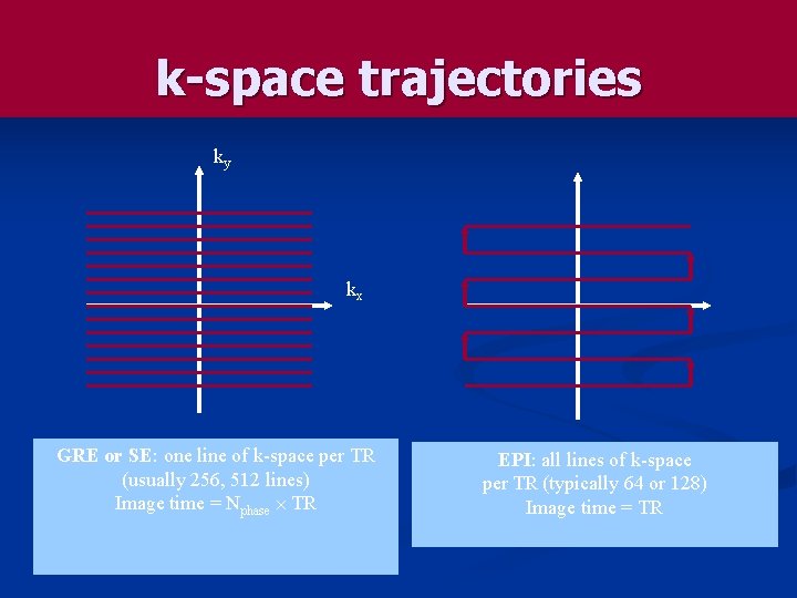 k-space trajectories ky kx GRE or SE: one line of k-space per TR (usually