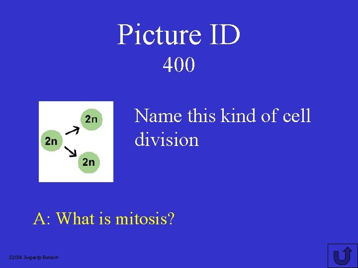 Picture ID 400 Name this kind of cell division A: What is mitosis? S