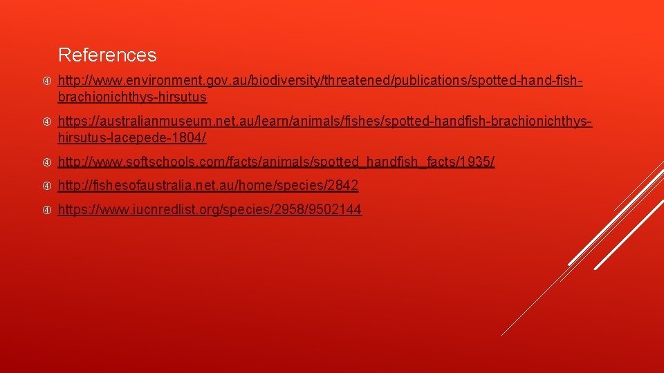 References http: //www. environment. gov. au/biodiversity/threatened/publications/spotted-hand-fishbrachionichthys-hirsutus https: //australianmuseum. net. au/learn/animals/fishes/spotted-handfish-brachionichthyshirsutus-lacepede-1804/ http: //www. softschools. com/facts/animals/spotted_handfish_facts/1935/