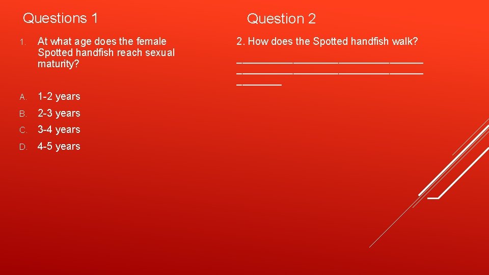 Questions 1 1. At what age does the female Spotted handfish reach sexual maturity?