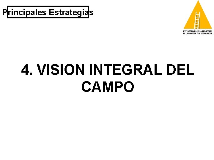 Principales Estrategias 4. VISION INTEGRAL DEL CAMPO 