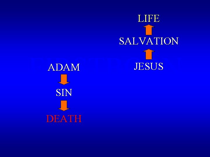LIFE SALVATION FIRSTBORN ADAM SIN DEATH JESUS 